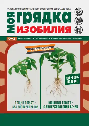 Моя грядка изобилия №5 / 2026