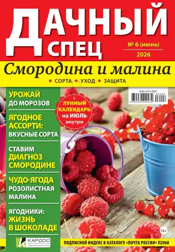 Дачный спец №6 / 2026