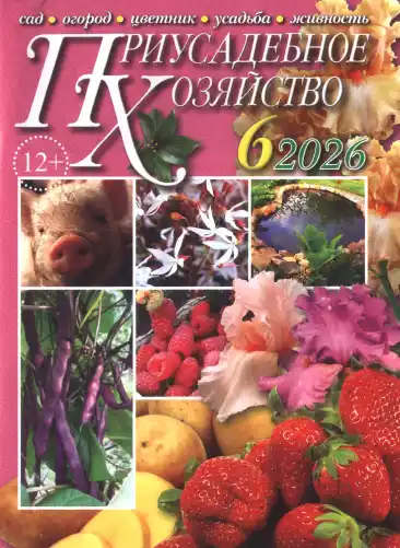 Приусадебное хозяйство №6 / 2026