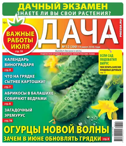 Дача №12 / 2026