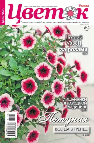 Цветок №12 / 2026
