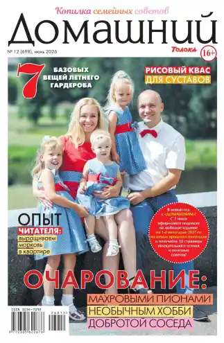 Домашний №12 / 2026