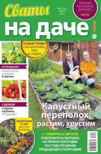 Сваты на даче №6 / 2026
