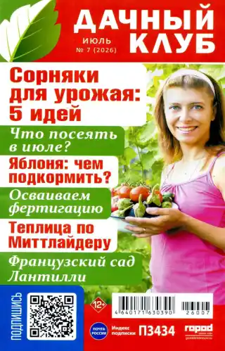 Дачный клуб №7 / 2026