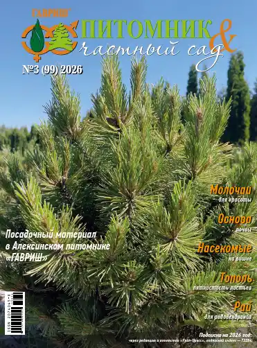 Питомник и частный сад №3 / 2026