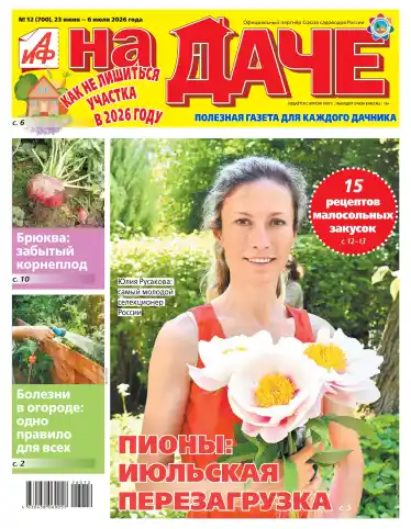 АиФ. На даче №12 / 2026