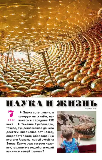 Наука и жизнь №7 / 2026