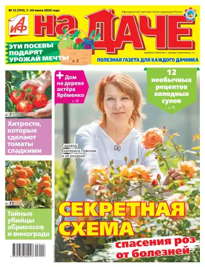 АиФ. На даче №13 / 2026