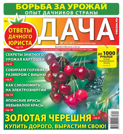 Дача №13 / 2026