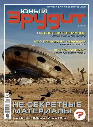 Юный эрудит №6 / 2026