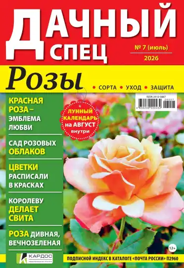 Дачный спец №7 / 2026