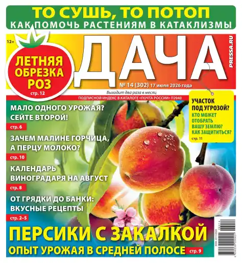 Дача №14 / 2026