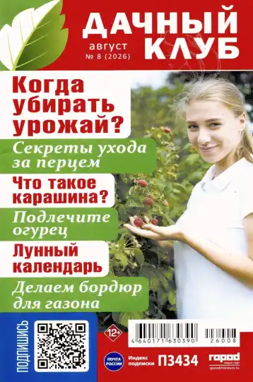 Дачный клуб №8 / 2026