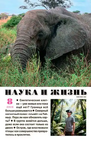 Наука и жизнь №8 / 2026