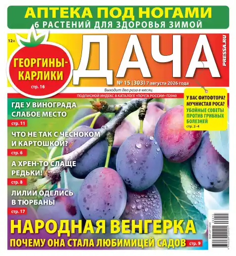 Дача №15 / 2026