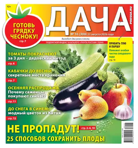 Дача №16 / 2026