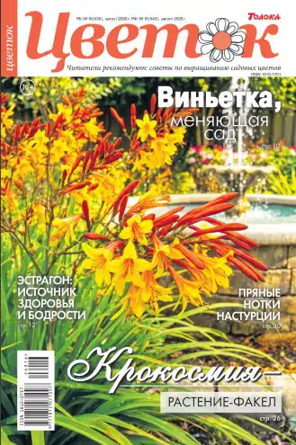 Цветок №16 / 2026