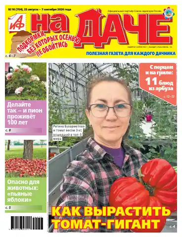 АиФ. На даче №16 / 2026