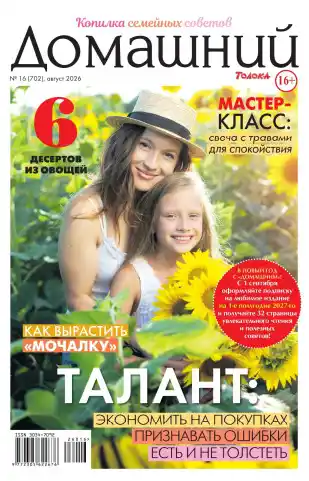 Домашний №16 / 2026
