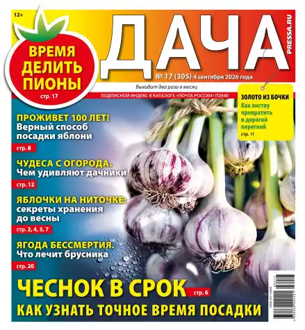 Дача №17 / 2026