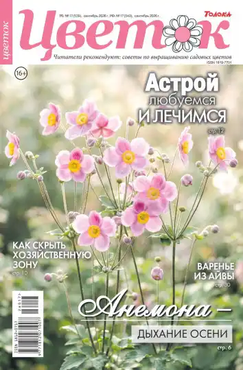 Цветок №17 / 2026