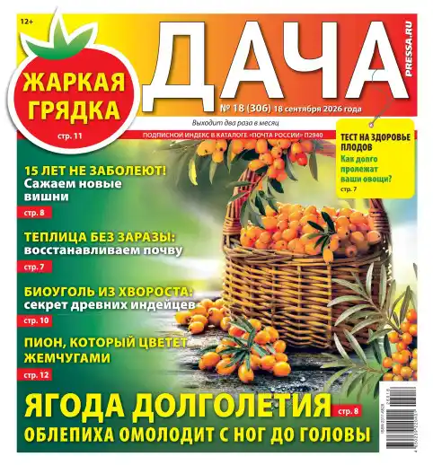 Дача №18 /2026