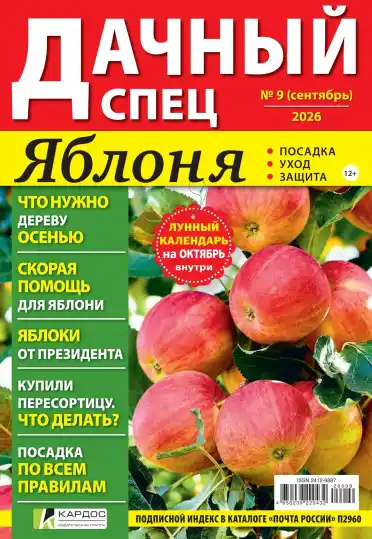 Дачный спец №9 / 2026
