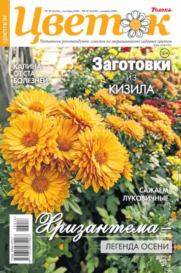Цветок №18 / 2026