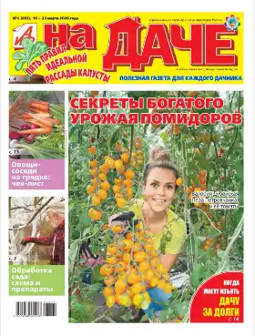 АиФ. На даче №5 / 2026
