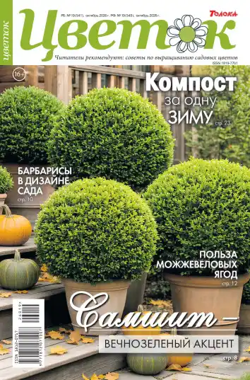 Цветок №19 / 2026