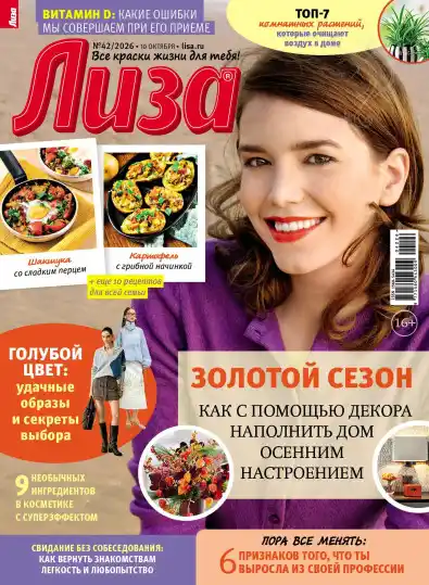 Лиза №42 / 2026
