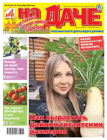 АиФ. На даче №19 / 2026