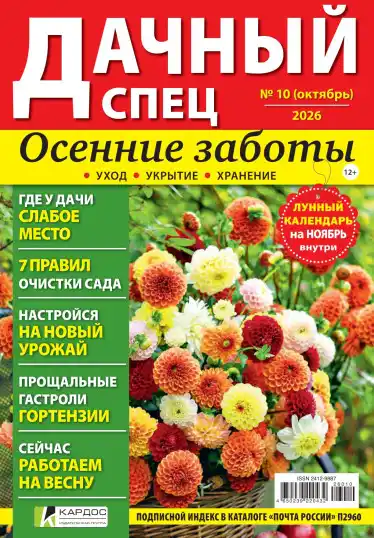 Дачный спец №10 / 2026