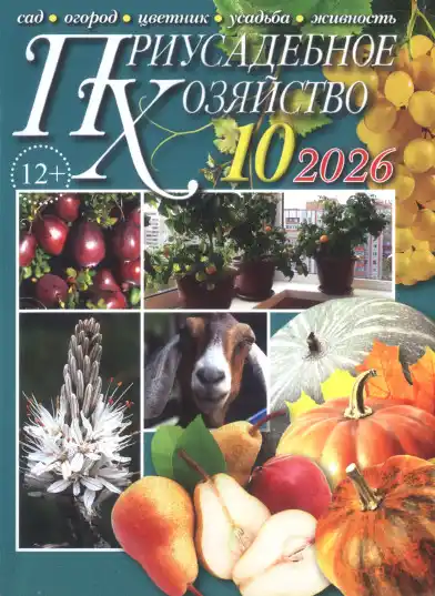 Приусадебное хозяйство №10 / 2026
