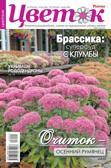 Цветок №20 / 2026