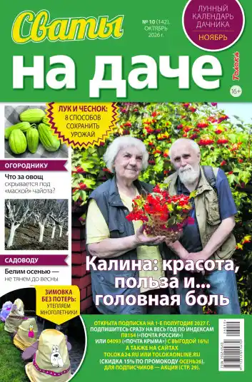 Сваты на даче №10 / 2026